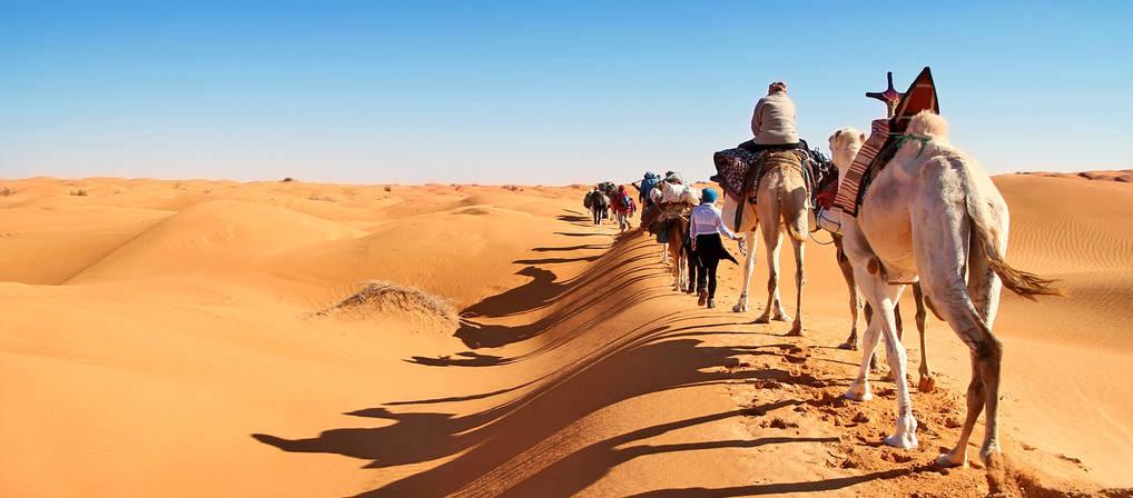 Tunisia Travel Guide 2026: The Complete Guide to Discover North Africa’s Hidden Gem